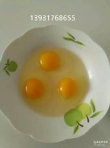 純柴雞蛋 純柴雞蛋價格 報價 純柴雞蛋品牌廠家