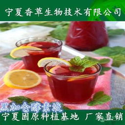 果醋茶產(chǎn)品價(jià)格、型號(hào)、圖片及預(yù)包裝食品批發(fā)零售指南